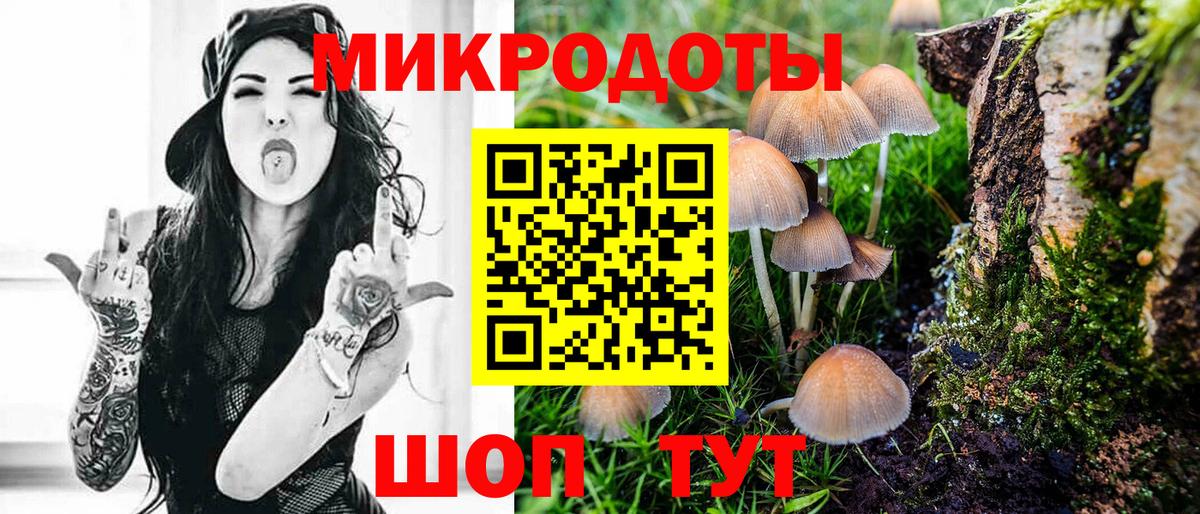 Псилоцибиновые грибы Magic Shrooms  Вход с VPN  Ишим 